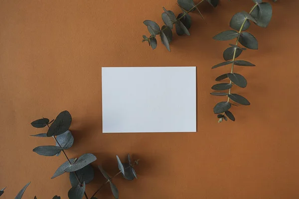 Blank Paper Sheet Card Empty Copy Space Dry Eucalyptus Branch — Stock Photo, Image
