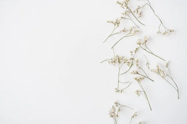 Flores Blancas Sobre Fondo Blanco Piso Laico Vista Superior Floral —  Fotos de Stock