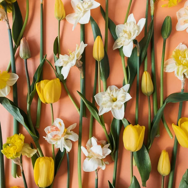 Tulipán Narciso Patrón Flores Infernales Sobre Fondo Rosa Plano Laico — Foto de Stock