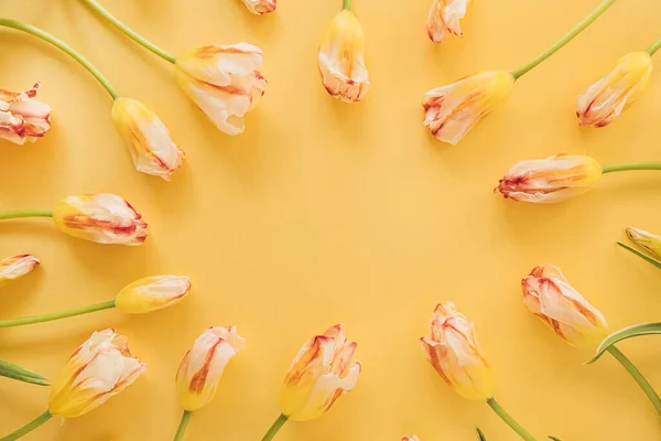 Kulatý Rám Žlutých Tulipánů Žlutém Pozadí Byt Ležel Horní Pohled — Stock fotografie