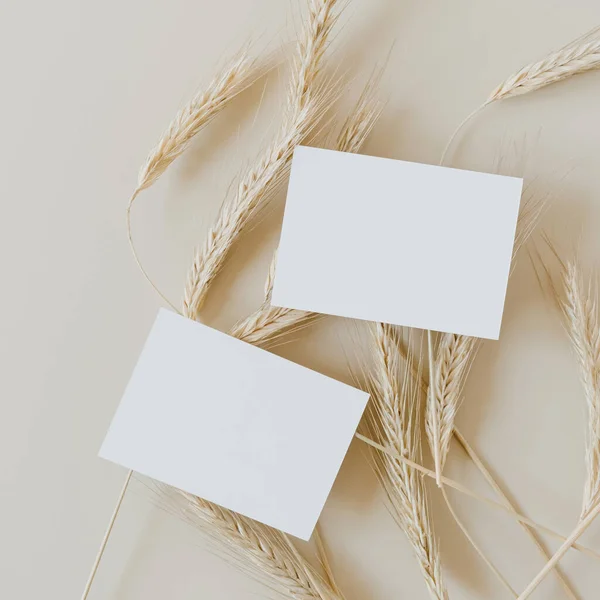 Leere Papierkarten Mit Kopierplatz Und Roggen Weizenstiele Auf Beigem Hintergrund — Stockfoto