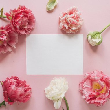 Pembe arka planda pembe ve beyaz şakayık lale çiçeklerinden oluşan yuvarlak çerçeveli boş kağıt kağıtlar. Düz yatış, üst görünüm çiçek modeli ve boş kopya alanı şablonu