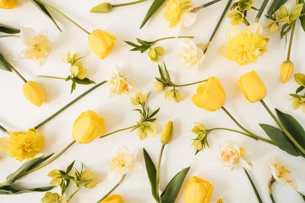 Желтые Нарциссы Цветки Тюльпанов Белом Фоне Плоская Вид Сверху Цветочная — стоковое фото