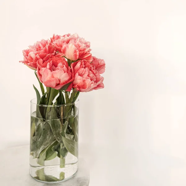 Красиві Рожеві Квіти Півонії Букет Скляній Вазі Мармуровому Столі Білому — стокове фото