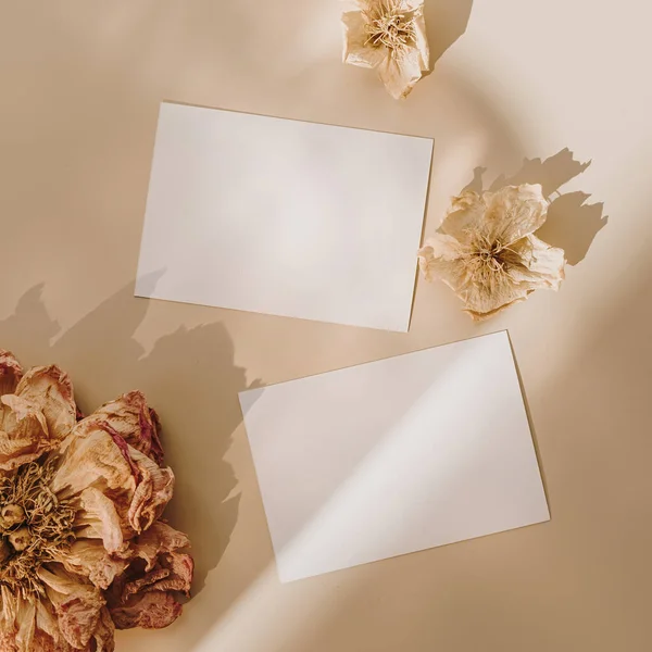 Cartões Papel Branco Com Espaço Cópia Mockup Botões Flores Secas — Fotografia de Stock