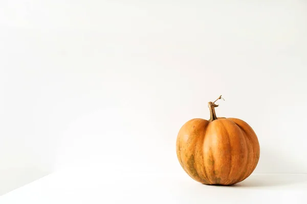Beyaz Arka Planda Çiğ Turuncu Zencefilli Balkabağı Düşük Mevsim Sonbahar — Stok fotoğraf