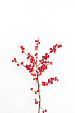 Asgari mevsimlik kompozisyon. İzole edilmiş beyaz arka planda kırmızı böğürtlenli dal deseni. Noel tatili, kış konsepti. 