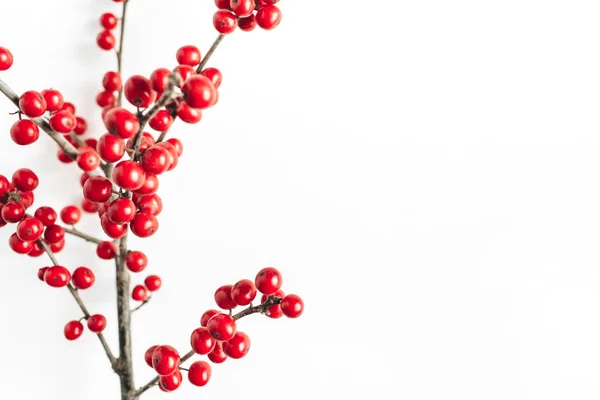 Minimale Saisonale Zusammensetzung Zweigmuster Mit Roten Beeren Auf Isoliertem Weißem — Stockfoto