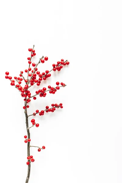 Minimale Saisonale Zusammensetzung Zweigmuster Mit Roten Beeren Auf Isoliertem Weißem — Stockfoto