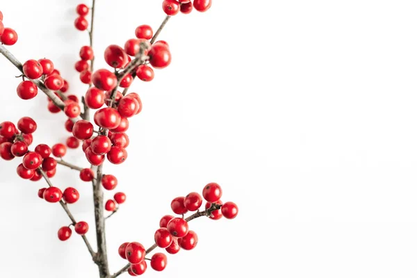 Minimale Saisonale Zusammensetzung Zweigmuster Mit Roten Beeren Auf Isoliertem Weißem — Stockfoto