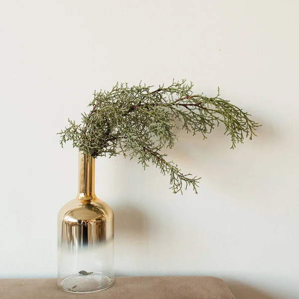 中性ベージュ地にゴールドボトルの花瓶のフェアブランチ ミニマルなインテリアデザインコンセプト — ストック写真