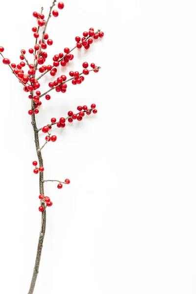 Minimal Seasonal Composition Pattern Branch Red Berries Isolated White Background — Stock Photo, Image