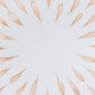 Pastel pembe çiçek yaprakları ve beyaz arka planda tomurcuk. Kopya alanı olan en küçük çiçek bileşimi