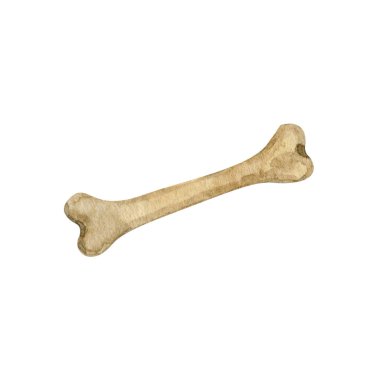 Suluboya kemik örnekleme ortamı