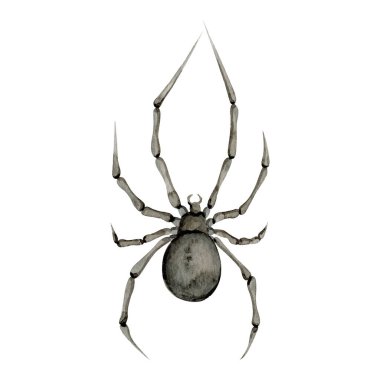 Suluboya ürkütücü örümcek ağı Clipart illüstrasyonuName