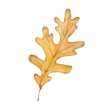 Suluboya sonbahar yaprakları iklim çizimi