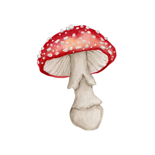 Watercolor amanita mushroom clipart — Stock Photo, Image