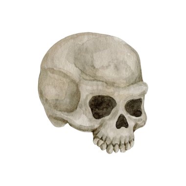 Suluboya ürkütücü kafatası çizimi 