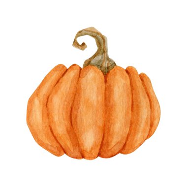 Suluboya portakal kabağı sebzesi