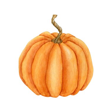 Suluboya portakal kabağı sebzesi