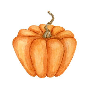 Suluboya portakal kabağı sebzesi