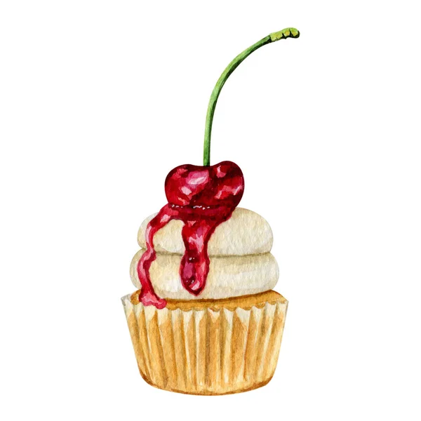 Watercolor illustration of sweet dessert cupcakes
