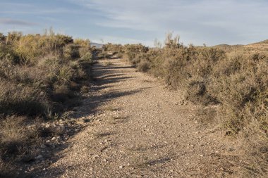 toprak yol çölde, yalnızlık