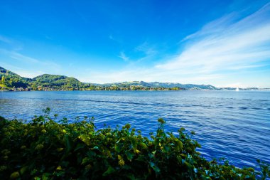 Traunsee manzarası ve çevre manzarası. Avusturya 'daki Styria gölünün kıyısında. Salzkammergut 'taki Ölü Dağlarda Dağ Gölü.