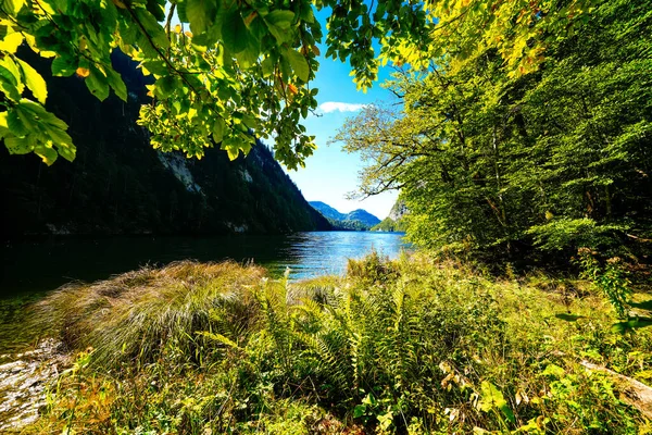 图普丽兹湖和周围的风景 在奥地利施蒂里亚湖畔的Idyllic自然 Salzkammergut死山的山湖 — 图库照片