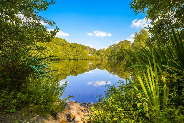 Frankenau balıkçı havuzu manzarası. Frankenau yakınlarında çevreleyen yeşil doğa ile deniz manzarası.