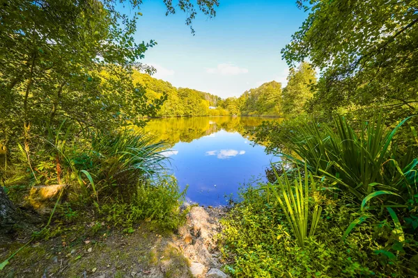 Frankenau balıkçı havuzu manzarası. Frankenau yakınlarında çevreleyen yeşil doğa ile deniz manzarası.