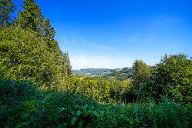 Rothaar Dağları 'ndaki Istenberg' deki Bruchhauser Steine yakınlarındaki manzara. Sauerland 'de yürüyüş patikaları..
