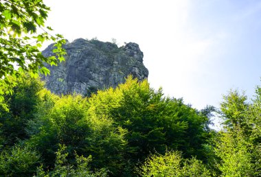 Rothaar Dağları 'ndaki Istenberg' deki Bruchhauser Steine yakınlarındaki manzara. Sauerland 'de yürüyüş patikaları..