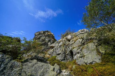 Rothaar Dağları 'ndaki Istenberg' deki Bruchhauser Steine yakınlarındaki manzara. Sauerland 'de yürüyüş patikaları..