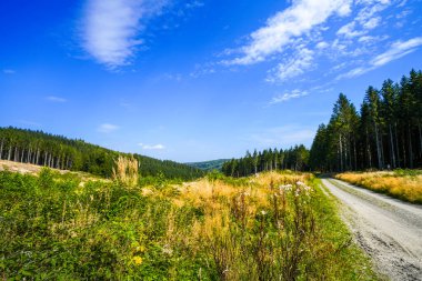 Rothaar Dağları 'ndaki Istenberg' deki Bruchhauser Steine yakınlarındaki manzara. Sauerland 'de yürüyüş patikaları..