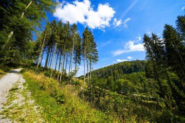 Rothaar Dağları 'ndaki Istenberg' deki Bruchhauser Steine yakınlarındaki manzara. Sauerland 'de yürüyüş patikaları..