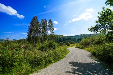 Rothaar Dağları 'ndaki Istenberg' deki Bruchhauser Steine yakınlarındaki manzara. Sauerland 'de yürüyüş patikaları..