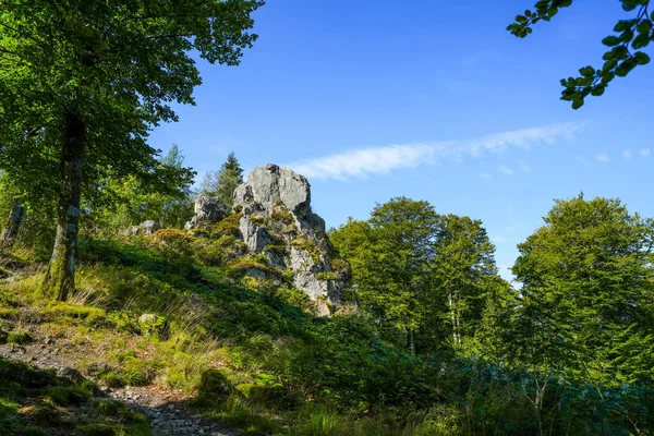 Rothaar Dağları 'ndaki Istenberg' deki Bruchhauser Steine yakınlarındaki manzara. Sauerland 'de yürüyüş patikaları..