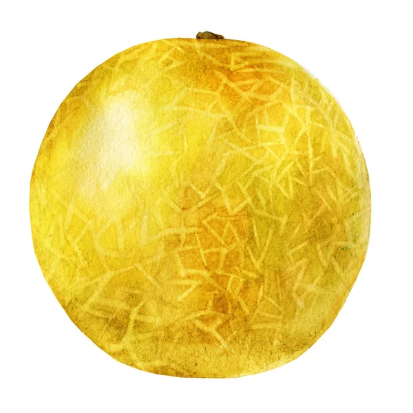 Melon Akwarela Ilustracja Cały Melon Białym Tle — Zdjęcie stockowe