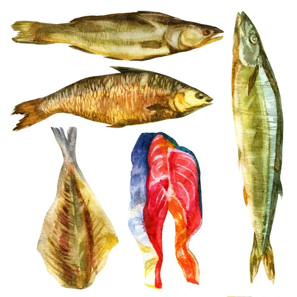 水彩插图 不同类型熏干鱼 — 图库照片