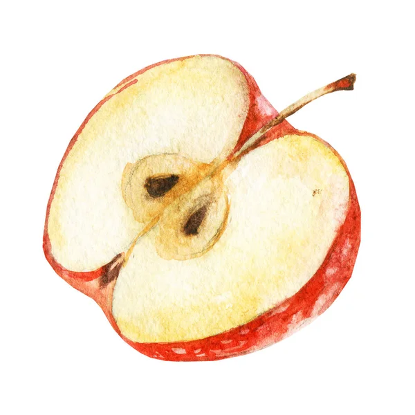 Μισό Μήλο Εικόνα Και Βαμμένη Υδρόχρωμα — Φωτογραφία Αρχείου