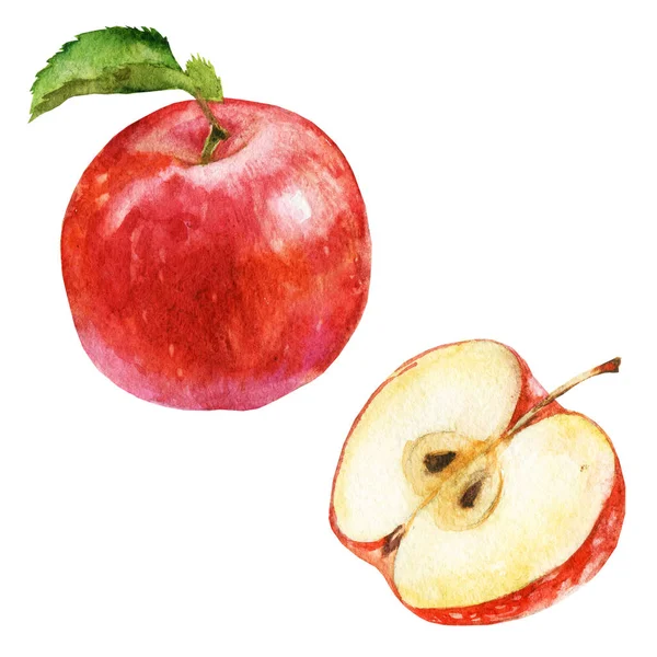 Sulu Boya Resim Ayarlayın Kırmızı Elma Elma Yarısı — Stok fotoğraf