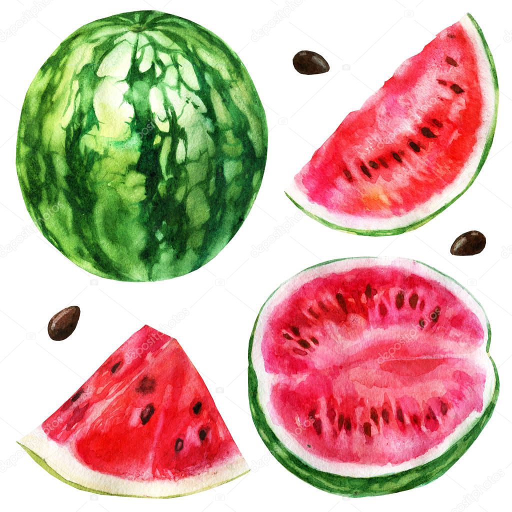 Watercolor illustration, set. Watermelon, half a watermelon, a piece of watermelon, a slice of watermelon