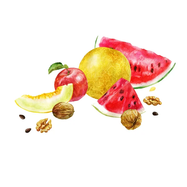 Akvarelu Ilustrace Obrázek Ovoce Ořechy Meloun Meloun Jablko Ořechy — Stock fotografie