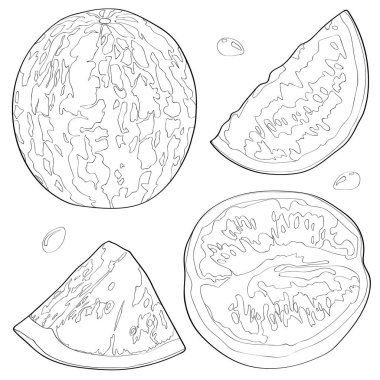 Vektör çizim bir karpuz, yarım karpuz, karpuz bir dilim. Siyah çizgi