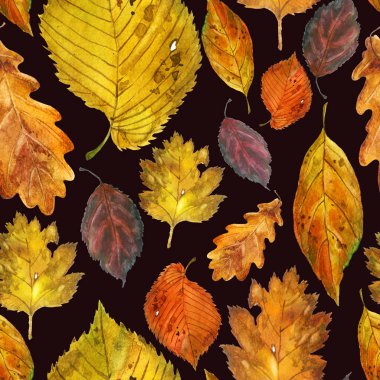 Sulu boya resim, desen. Siyah bir zemin üzerine sonbahar yaprakları