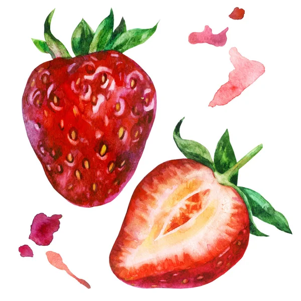 Ilustrație de acuarelă, set. Căpșuni mari, căpșuni feliate . — Fotografie, imagine de stoc