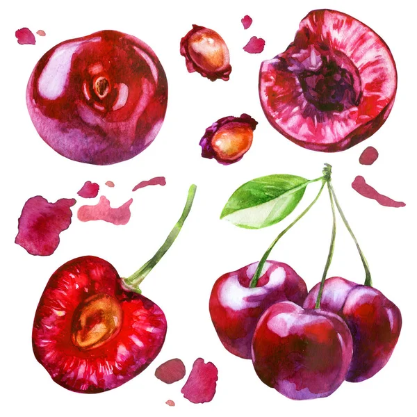 Suluboya illüstrasyon, set. Bir yaprak ile bir dalda Kiraz meyveleri, kesilmiş kiraz çilek, kiraz tohumu, kiraz suyu kırmızı sıçramaları.