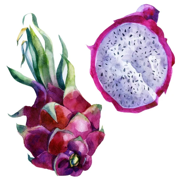 Aquarel Illustratie Set Pitaya Vrucht Van Stekelige Peer Prickly Pear — Stockfoto