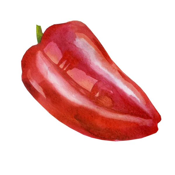 Watercolor Illustration Red Bell Pepper Bulgarian Pepper — Stock Photo, Image